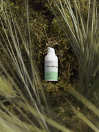 best acne spot treatment, care